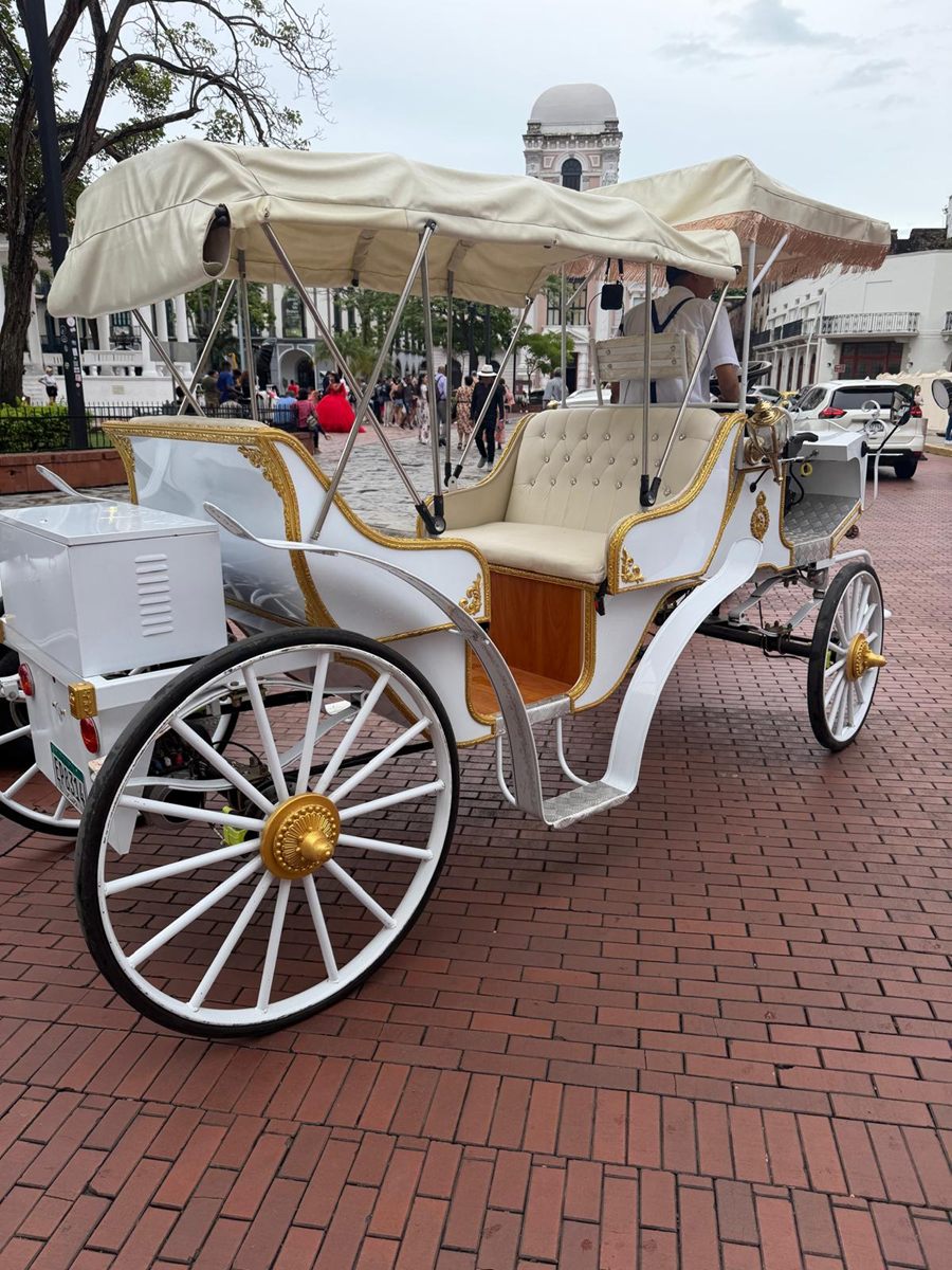 White horse-drawn carriage in a Casco Viejo plaza