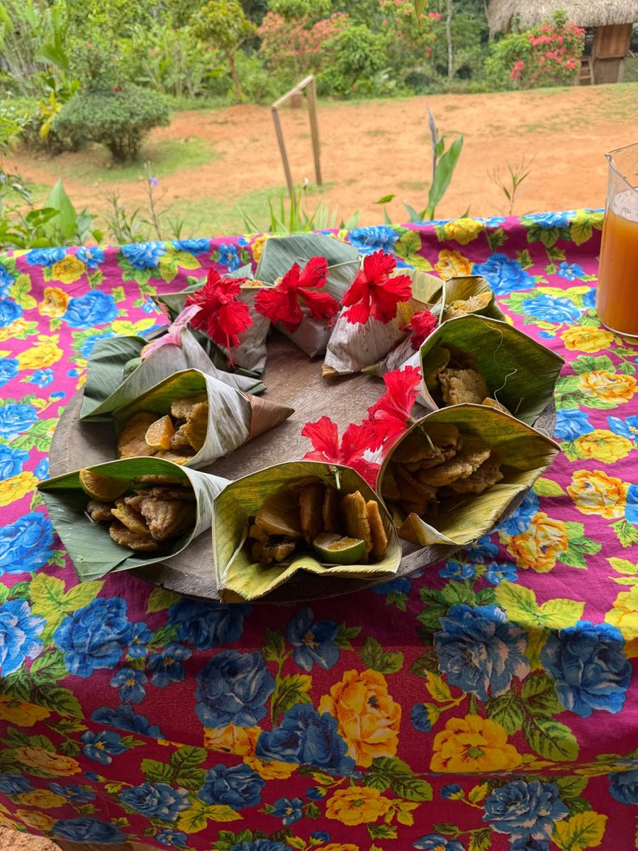 Traditional Emberá food served in folded banana leaves